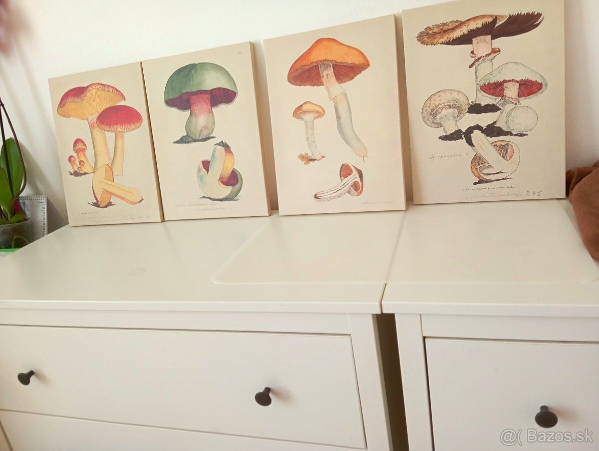 Nové obrazy ikea