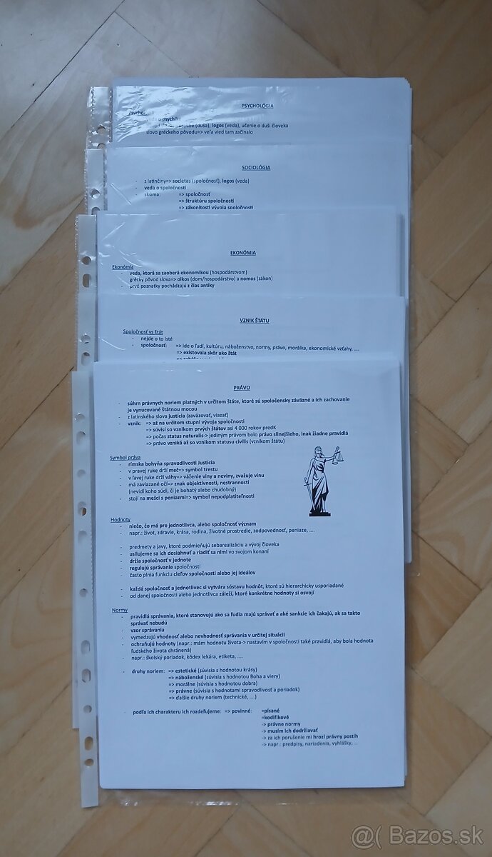 Kompletné poznámky na maturitu z občianskej náuky