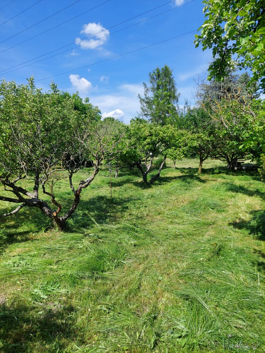 Čerstvo pokosená tráva
