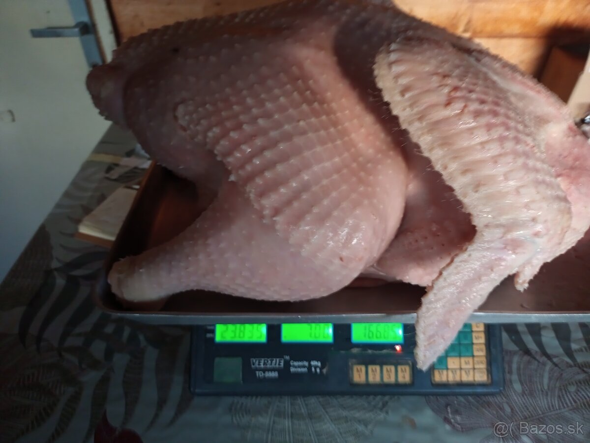 Predám očistené morky