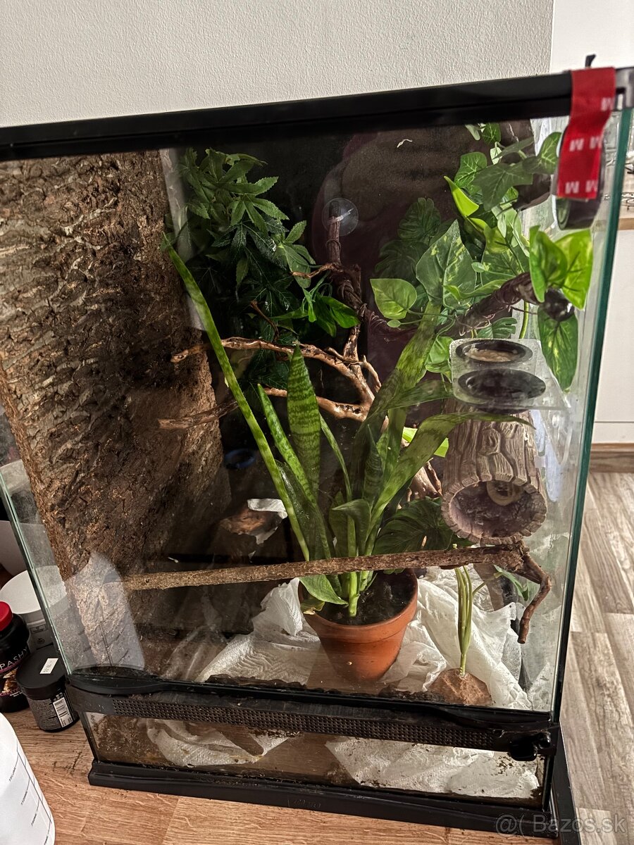 Terarium reptiplanet 45x45x60
