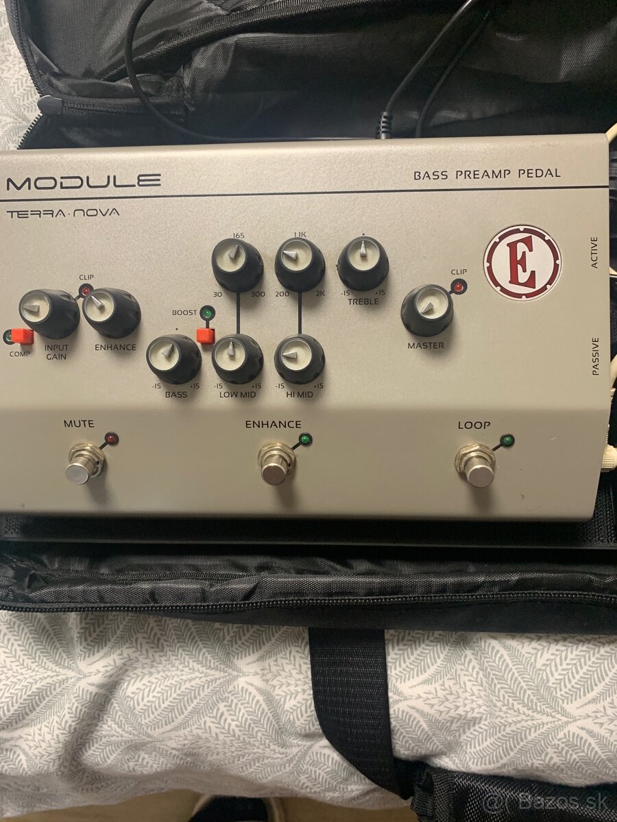 Predam preamp EDEN TERANIVA