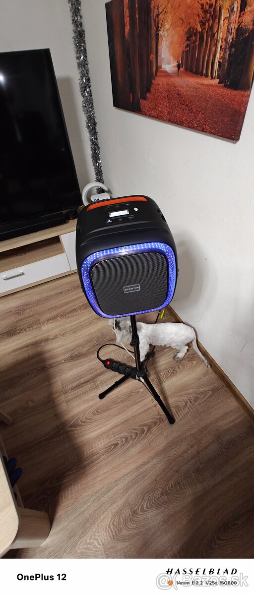 Bluetooth párty box