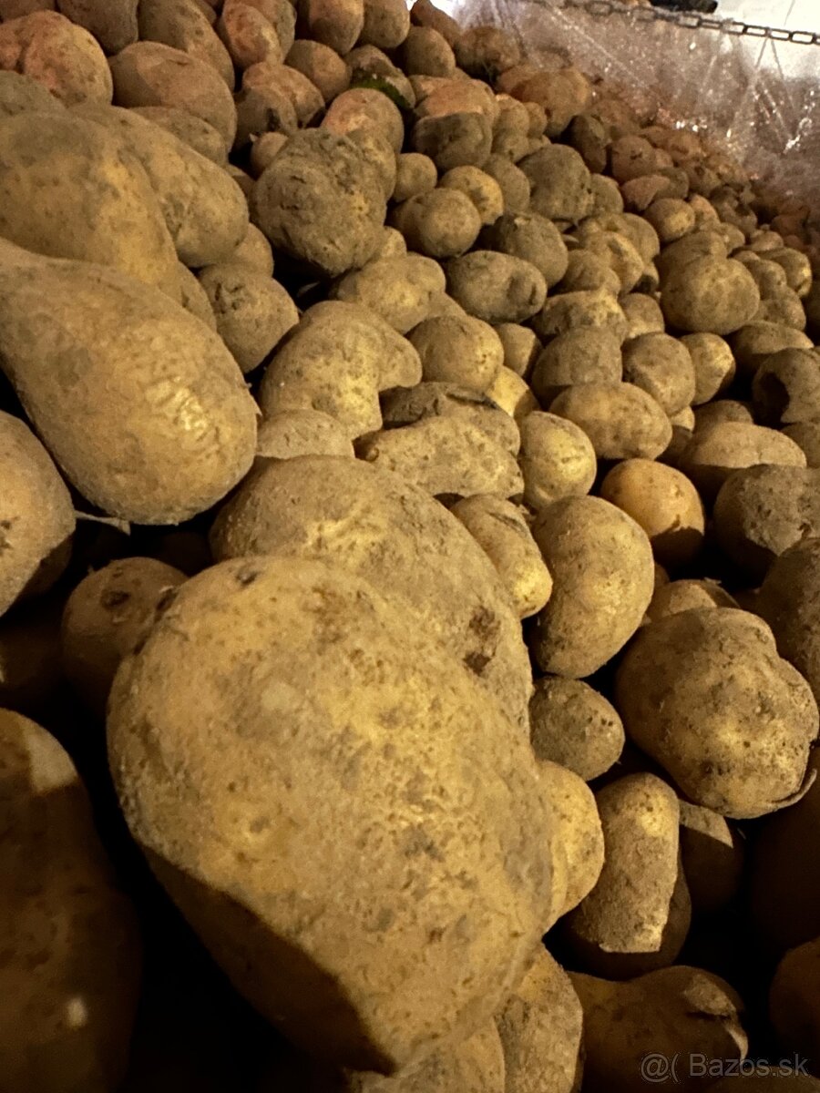 Nestriekané zemiaky