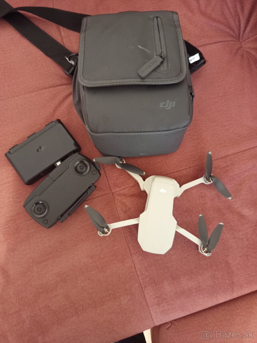 DJI Mavic Mini