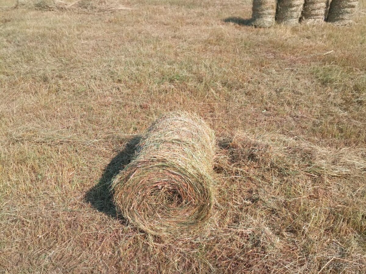 Seno na predaj