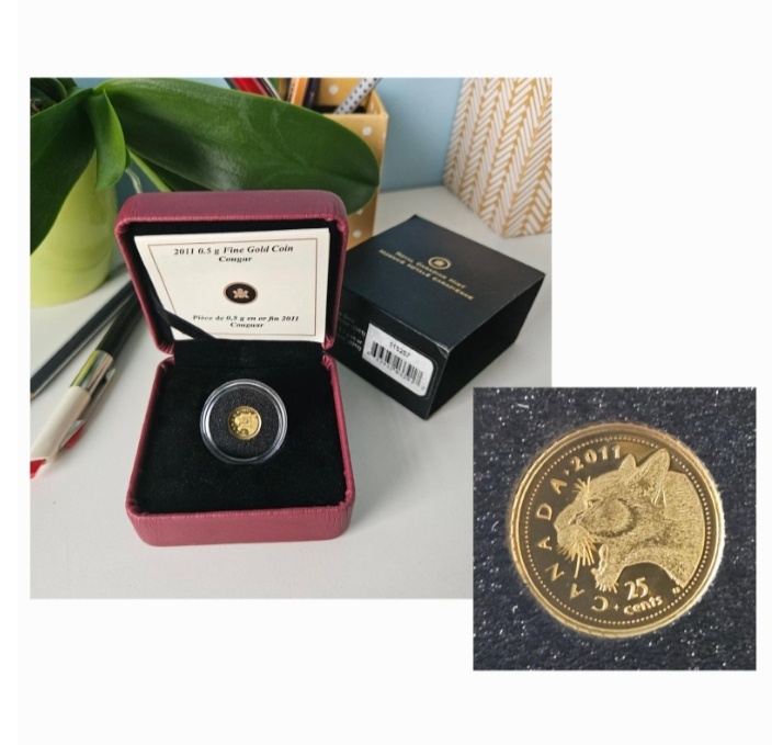 Kanadská 24 karatova zlatá Minca