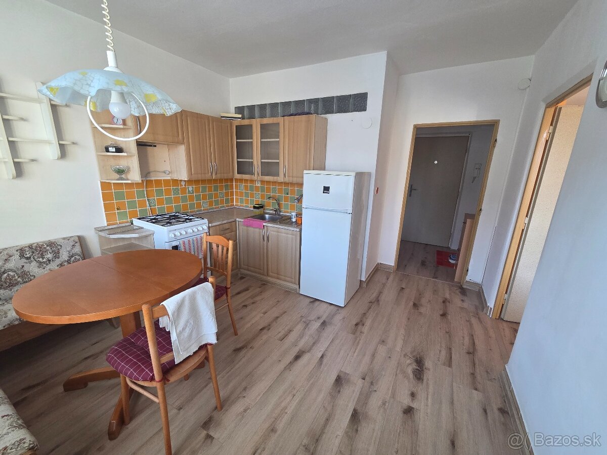 1.izbový byt - Novosady