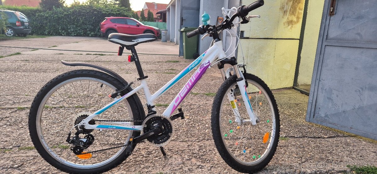 Dema Pegas 24