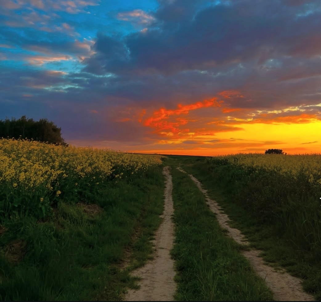 Rapovce, Panické Dravce, Kalonda – 194 m2 194 m2 PÔDA