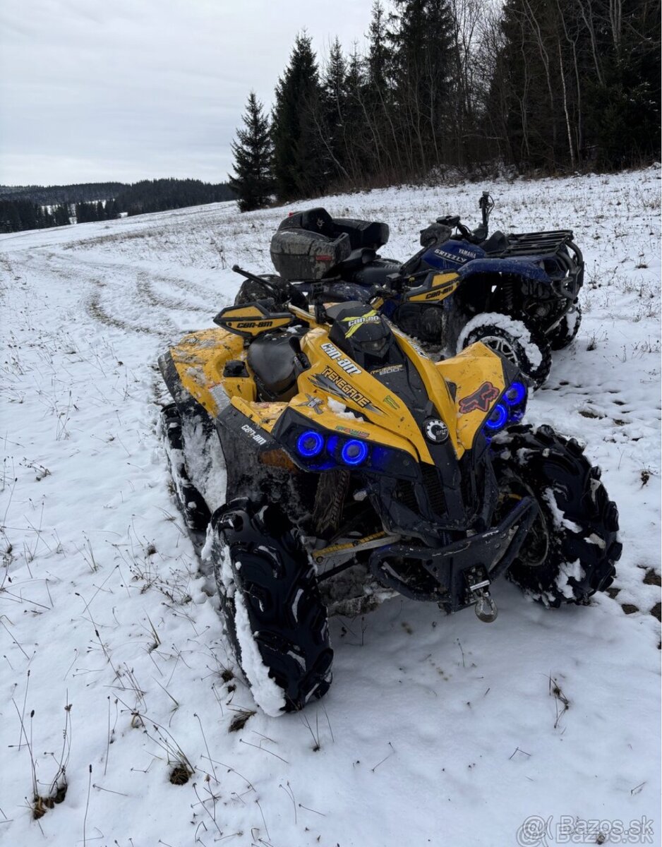 Can am renegande 800
