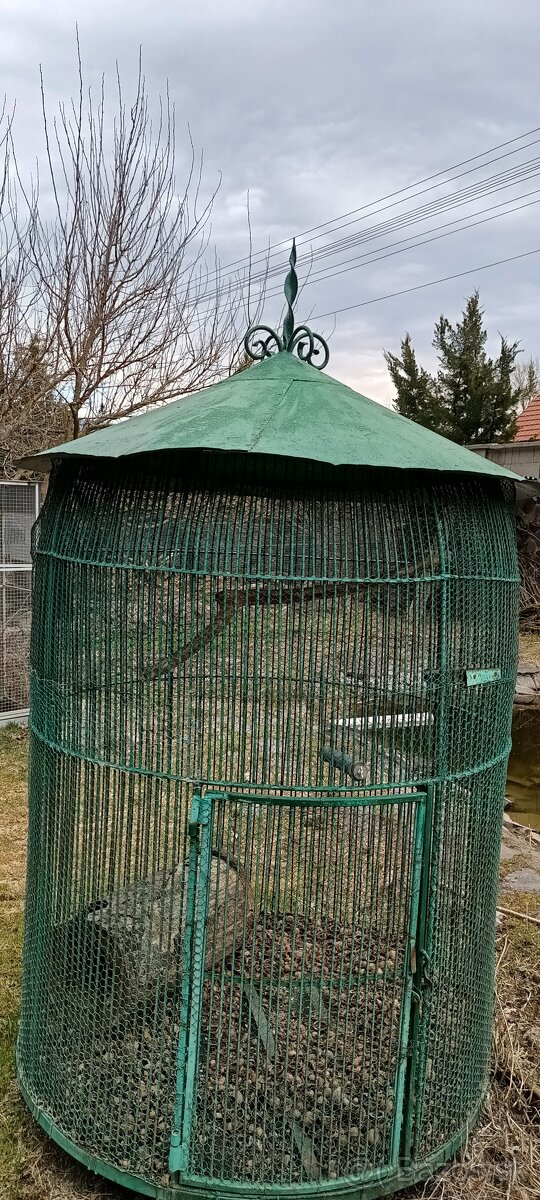 Klietka