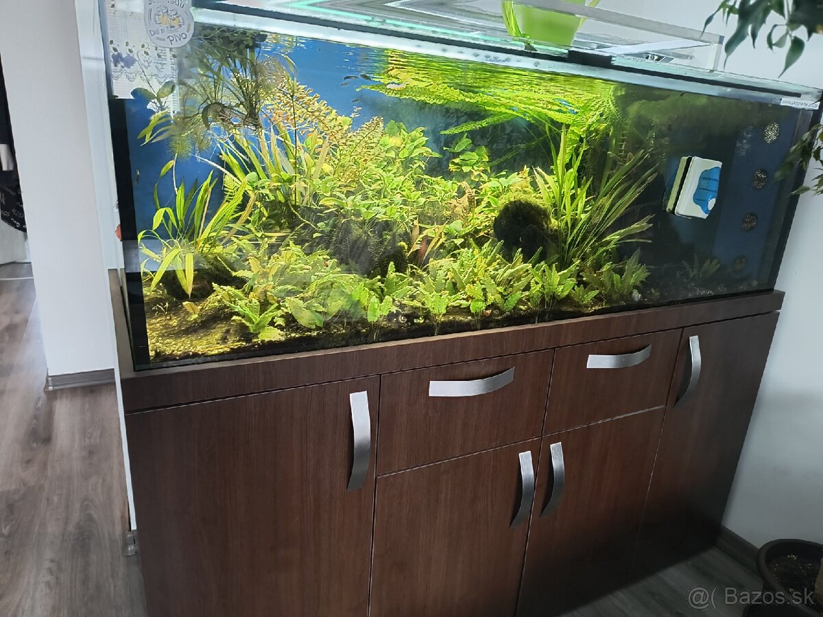 Predam akvarium 500 l. Lepene na mieru .