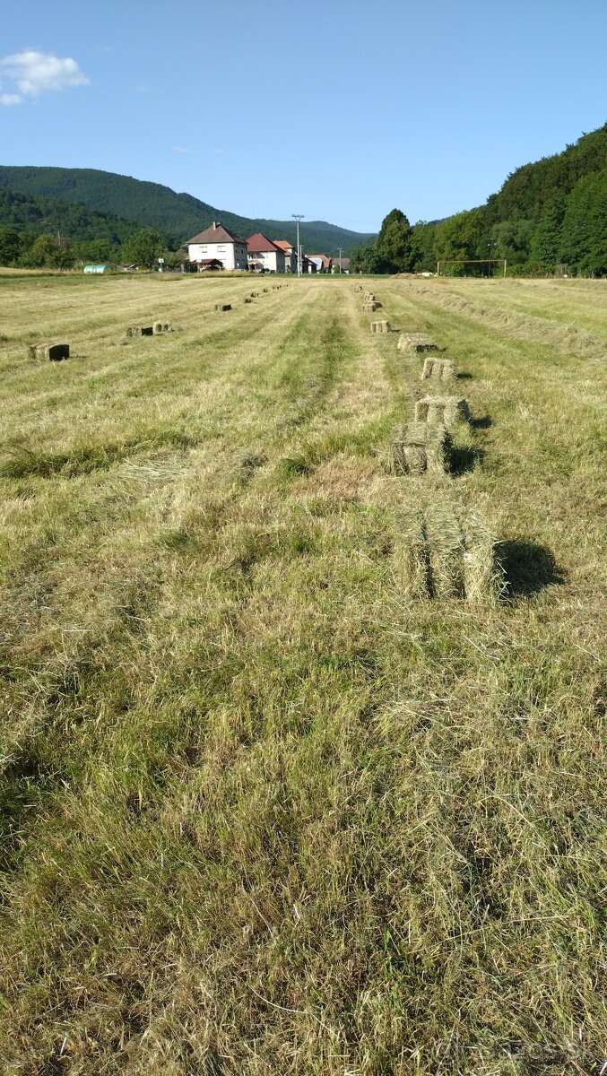 Seno malé balíky