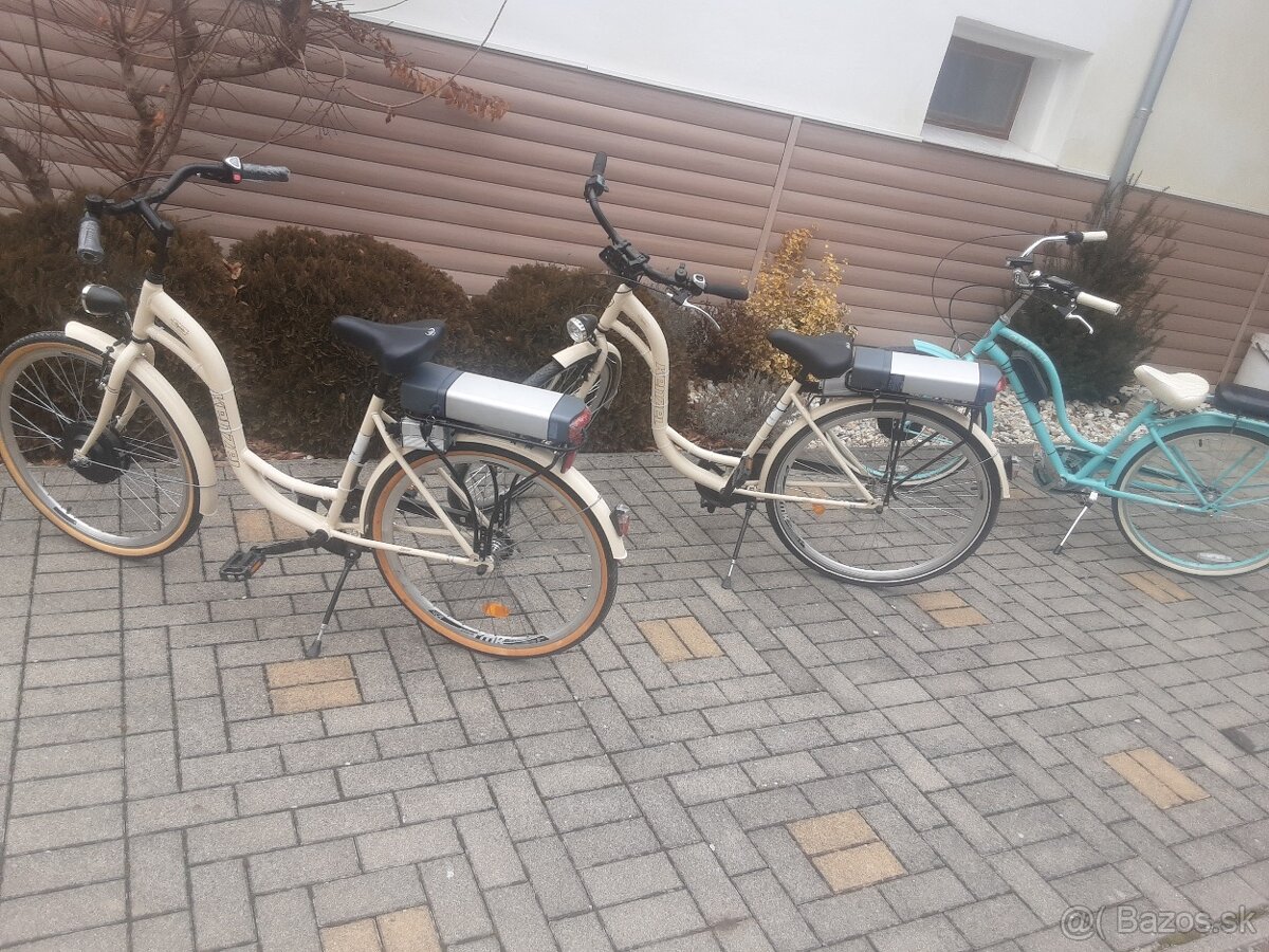 Elektrobicykel +prerobenie na elektro
