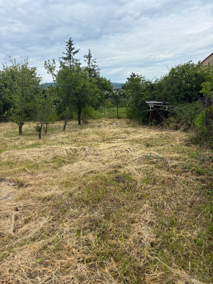 Záhrada Žabí majer
