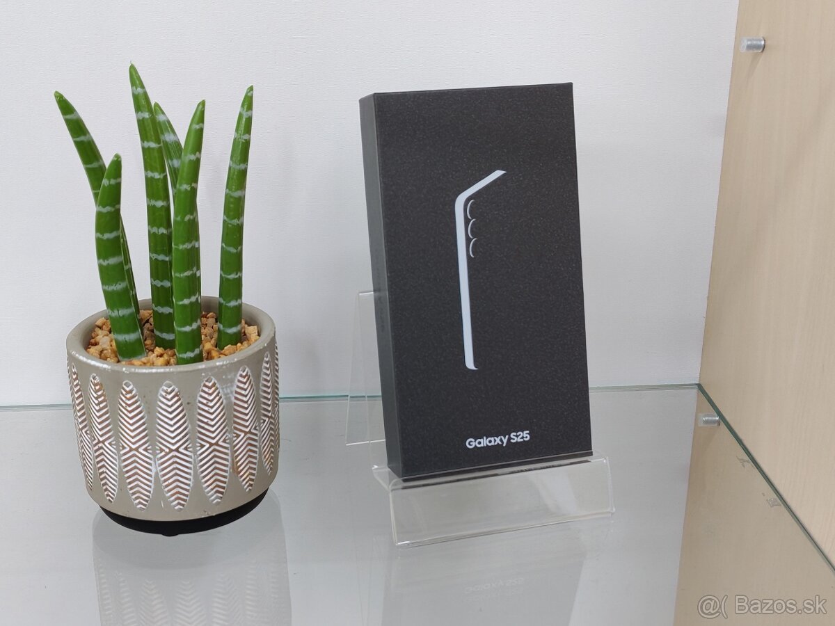 Samsung Galaxy S25 256GB Silver Shadow | NOVÝ KUS