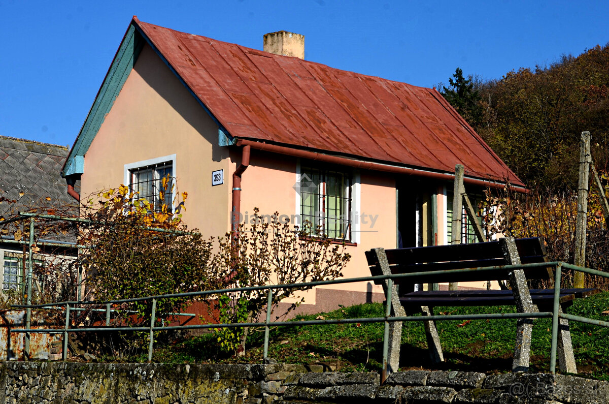 Záhradný domček s vinohradom