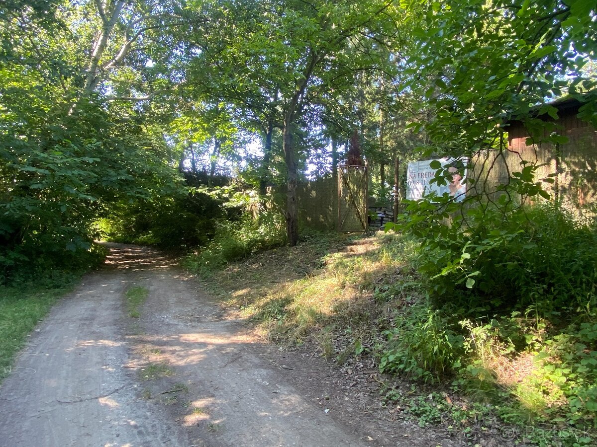 Záhrada pri lese – úplné súkromie, Sereď, 530 m²,56 €/m2