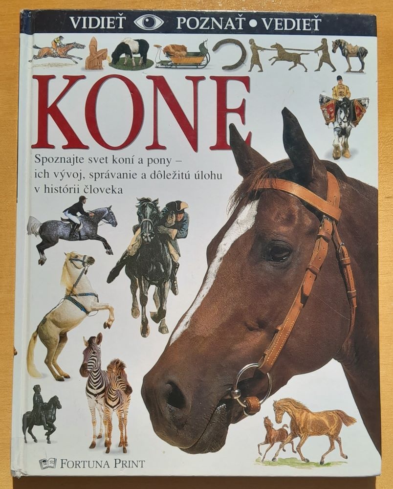 Kone, Vidieť, poznať, vedieť