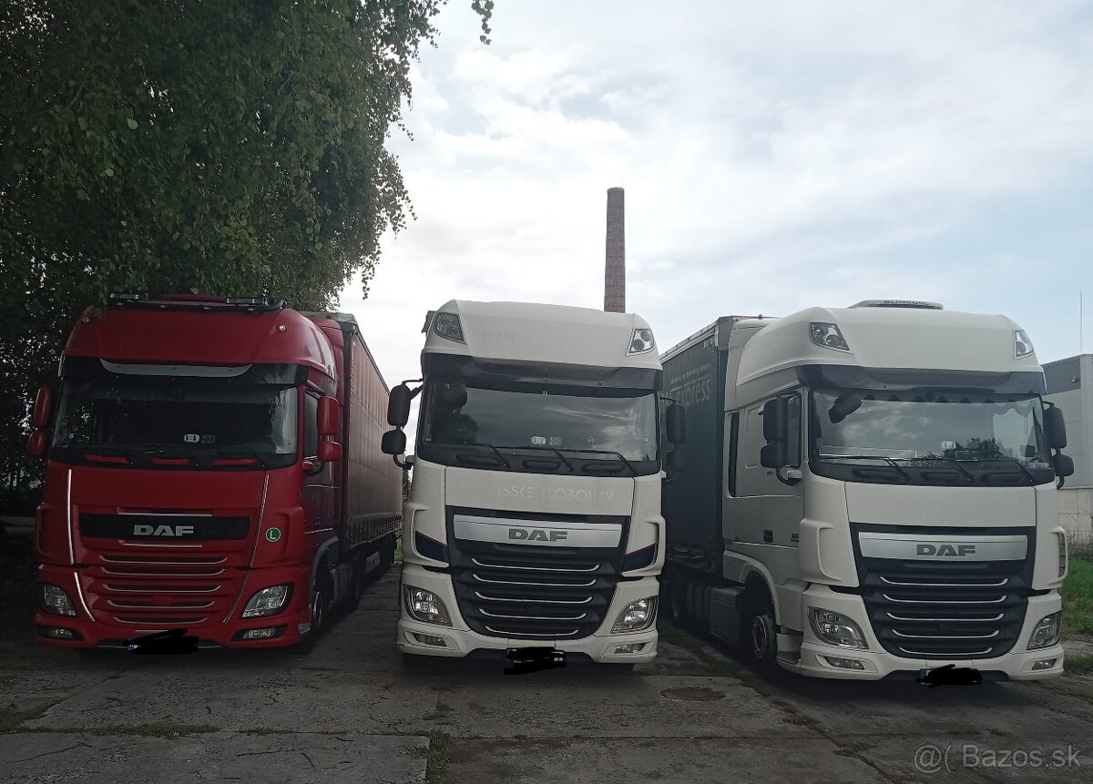 Prijmeme vodiča MKD