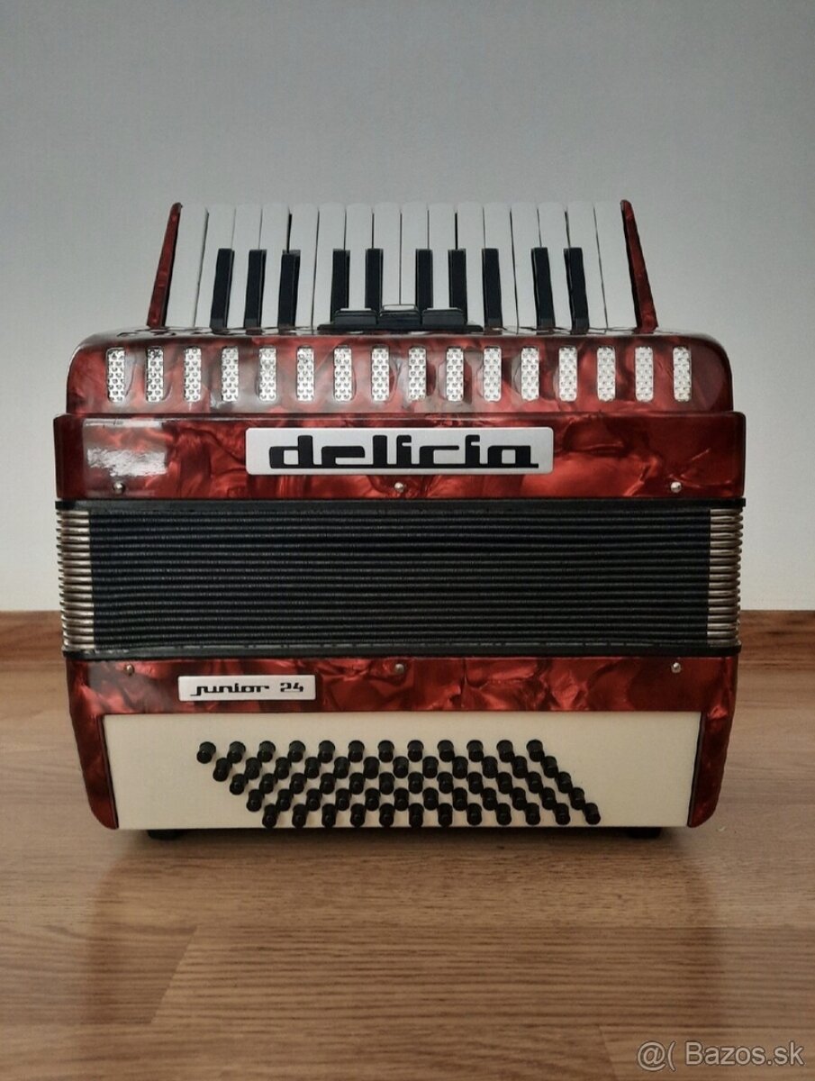 Akordeón Delicia Junior 24