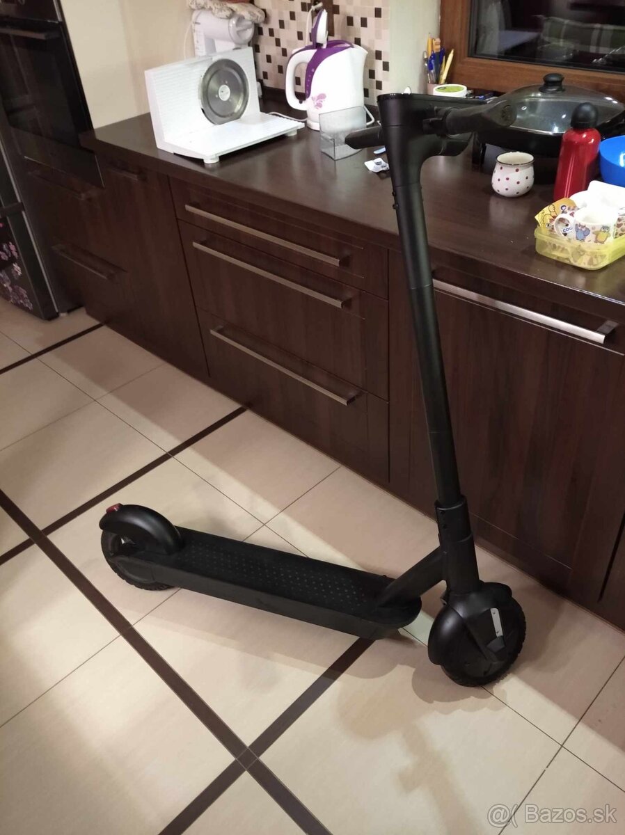 Bird 350W Elektricka kolobezka