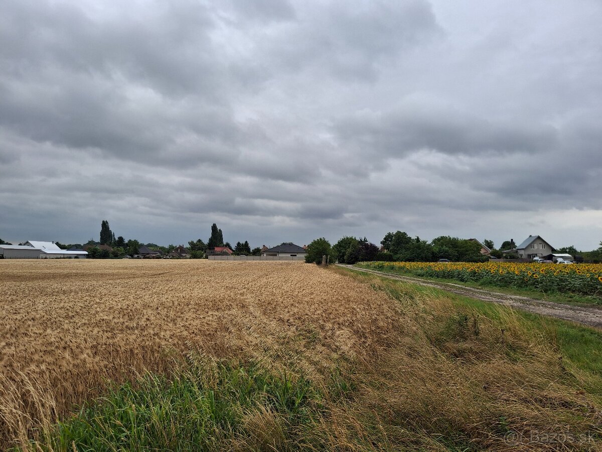 Predám investičný pozemok 7,7 ha, okr. Dunajská Streda