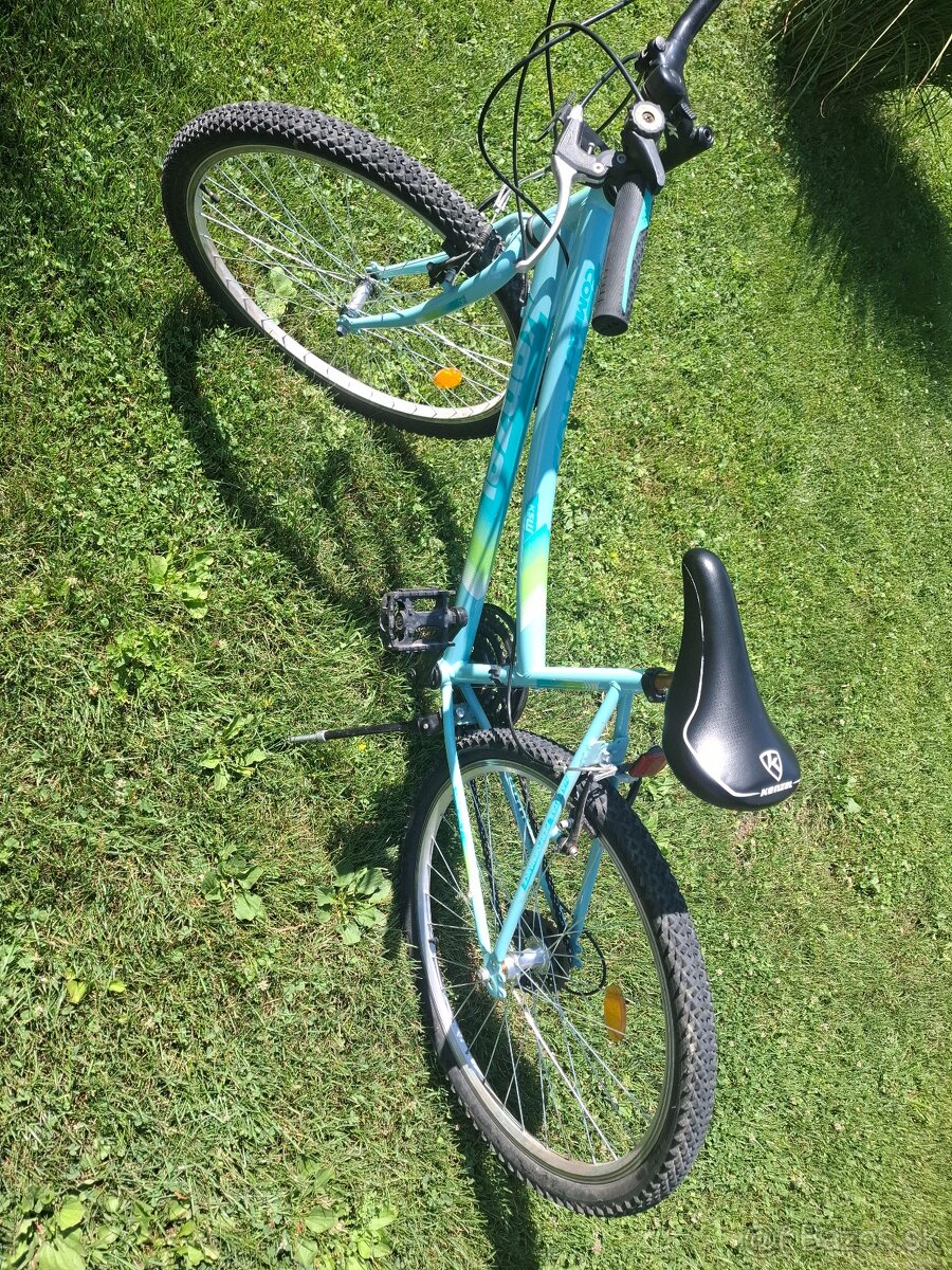 Bicykel Kenzel