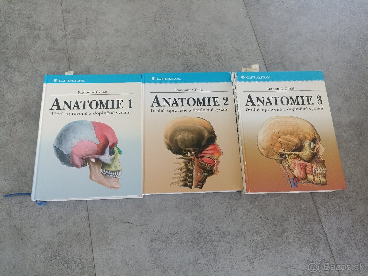 Anatomia 1,2,3, Čihák
