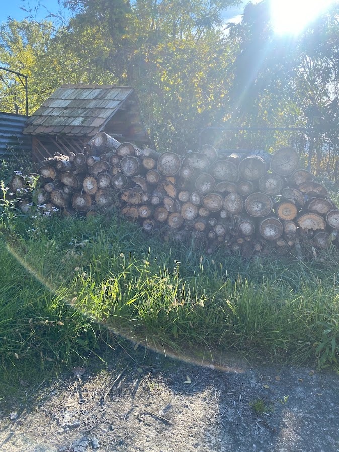 Predám  topoľové  suché drevo