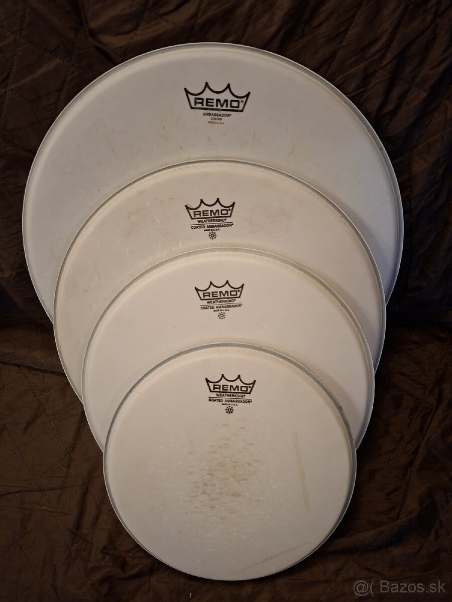 REMO Ambassador Coated sada blán