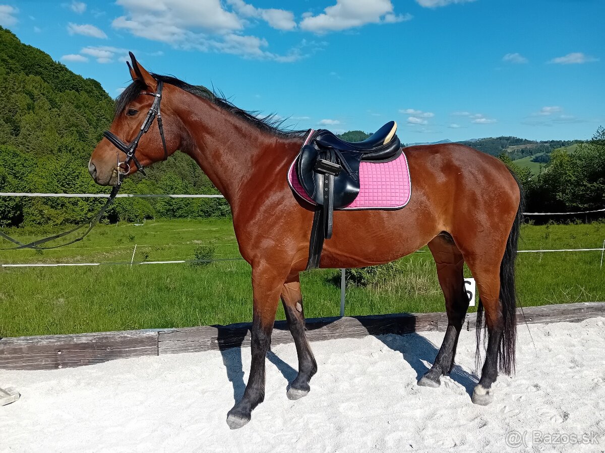 Kobyla, furioso, 5r.
