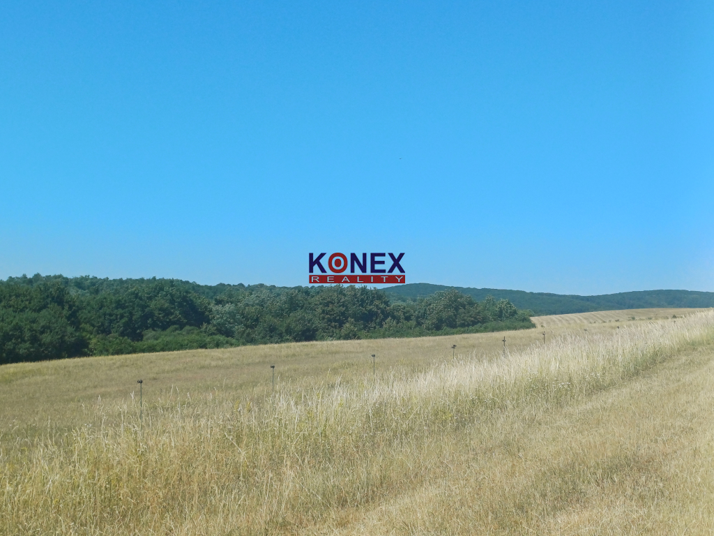 NA PREDAJ - Poľnohospodárske a lesné pozemky Vranov nad Topľ