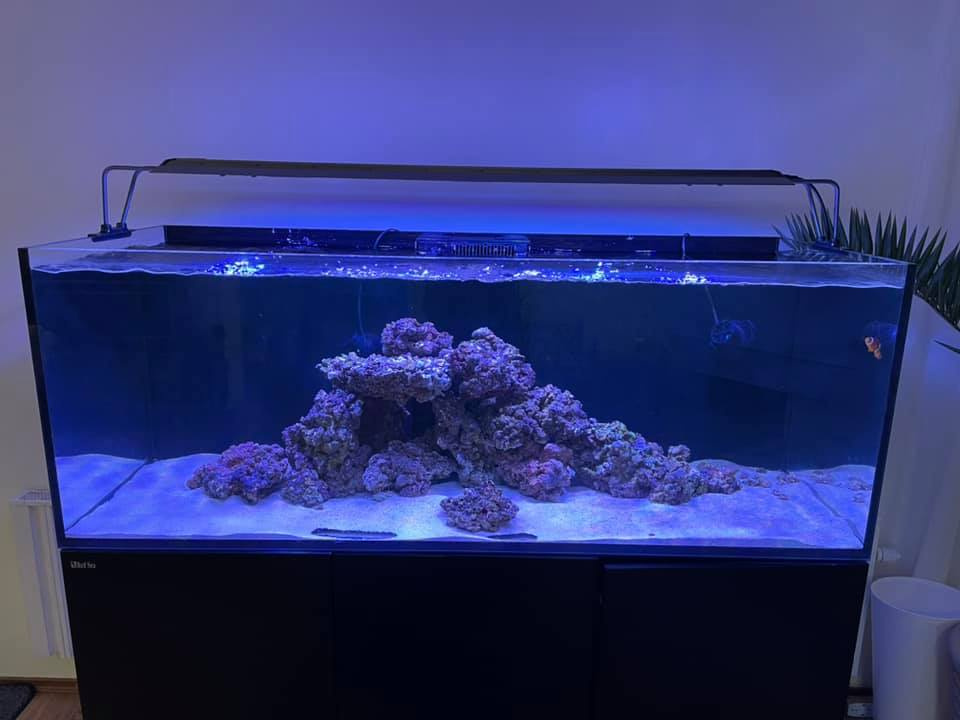 Morske akvarium RED SEA 525XL
