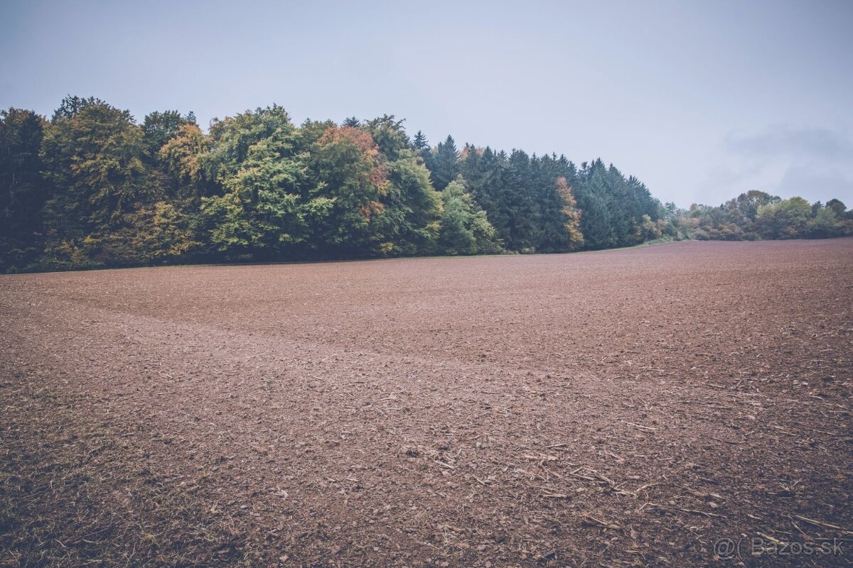 Chata, starý dom , pozemok