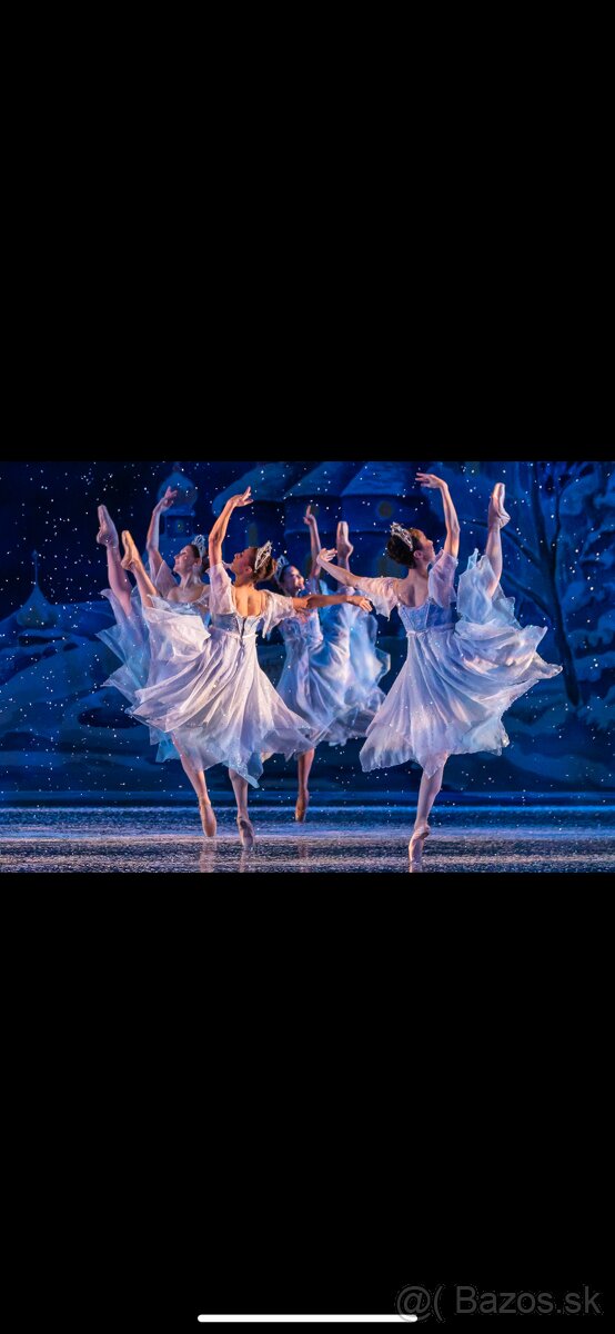 Fragile Novoročný koncert Levice