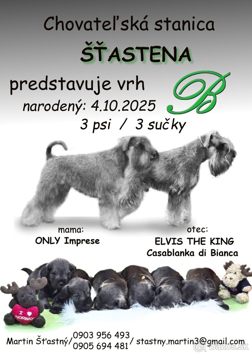 Bradáč malý - korenie, soľ