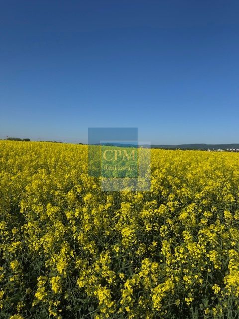 Ponúkam na predaj stavebný pozemok v Chorvátskom Grobe 800 m