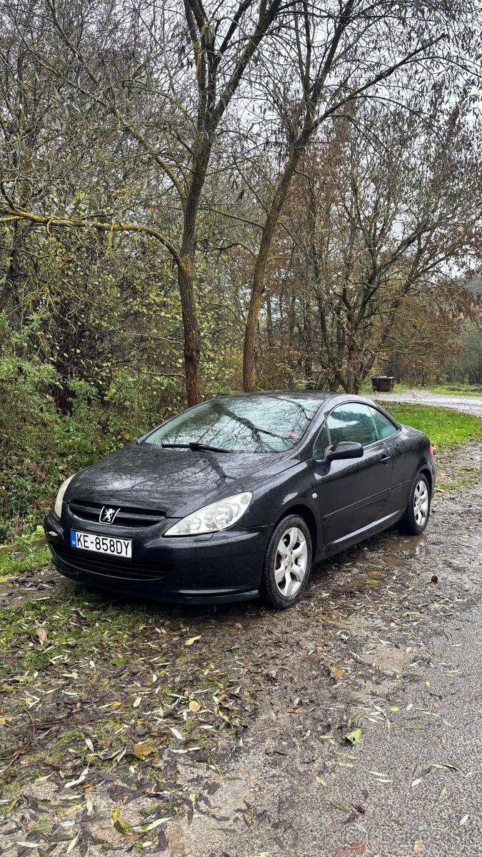 Peugeot 307CC 1.6 16V Benzín