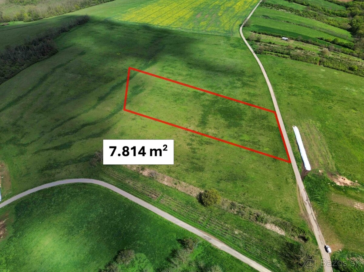Veľké Turovce – 7.814 m2 – ORNÁ PÔDA v podiele 1/1