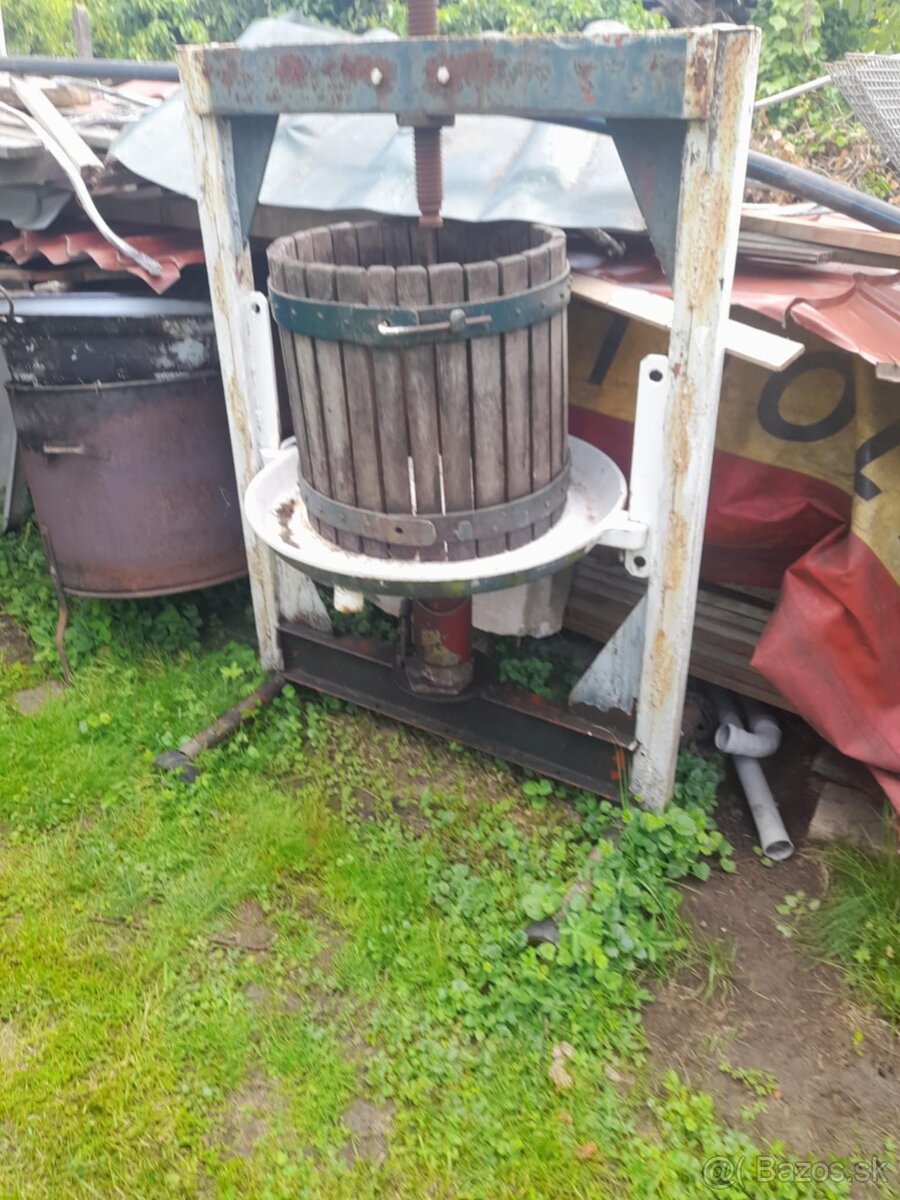Lis na hrozno