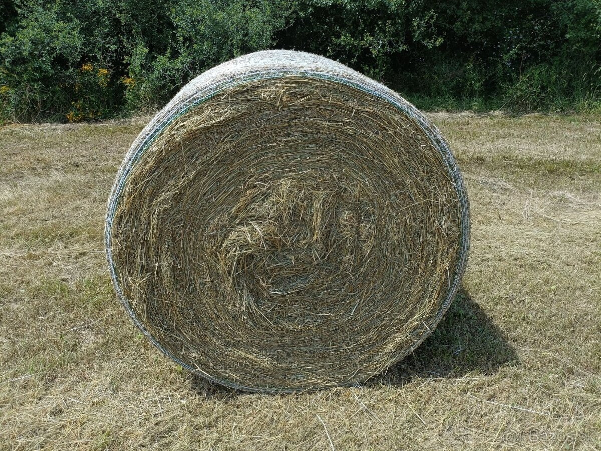Seno na predaj