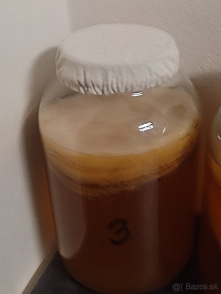 Kombucha