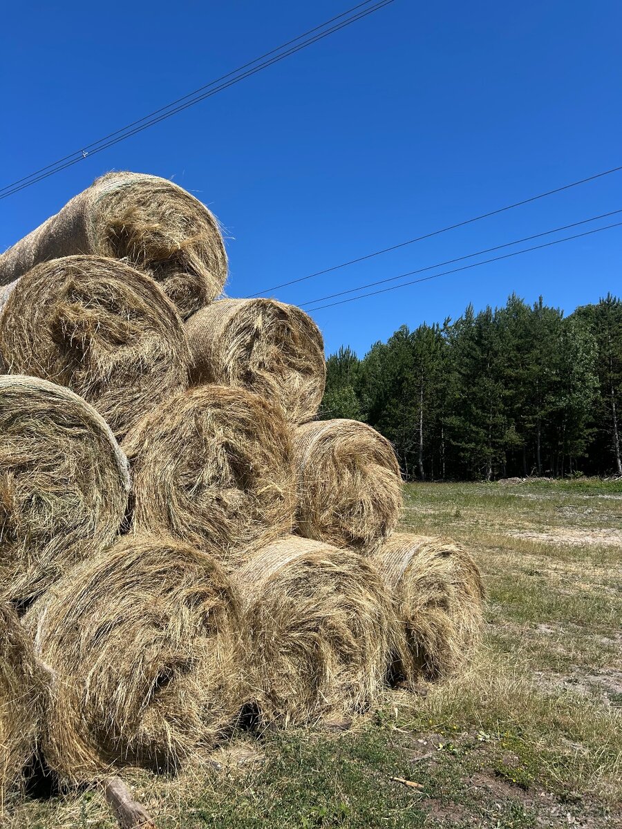 lúčne horské seno okrúhle balíky