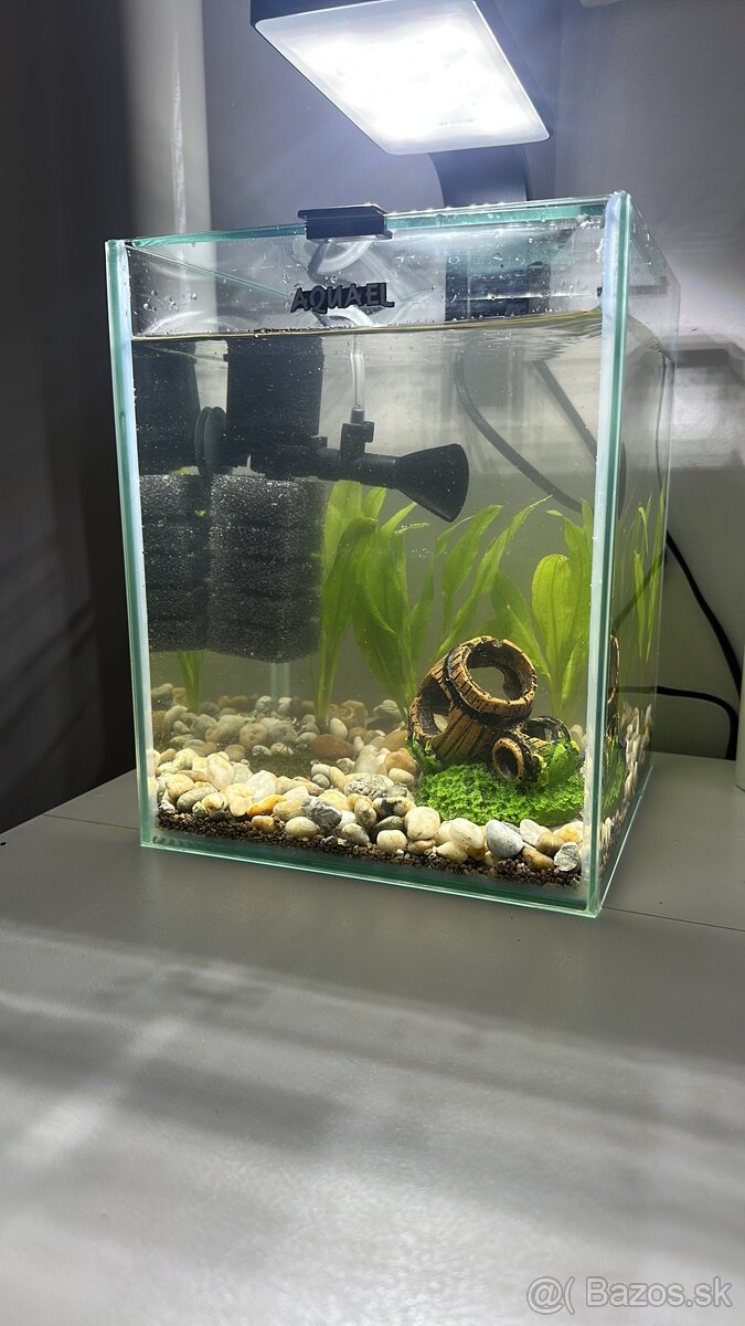 akvárium 10L