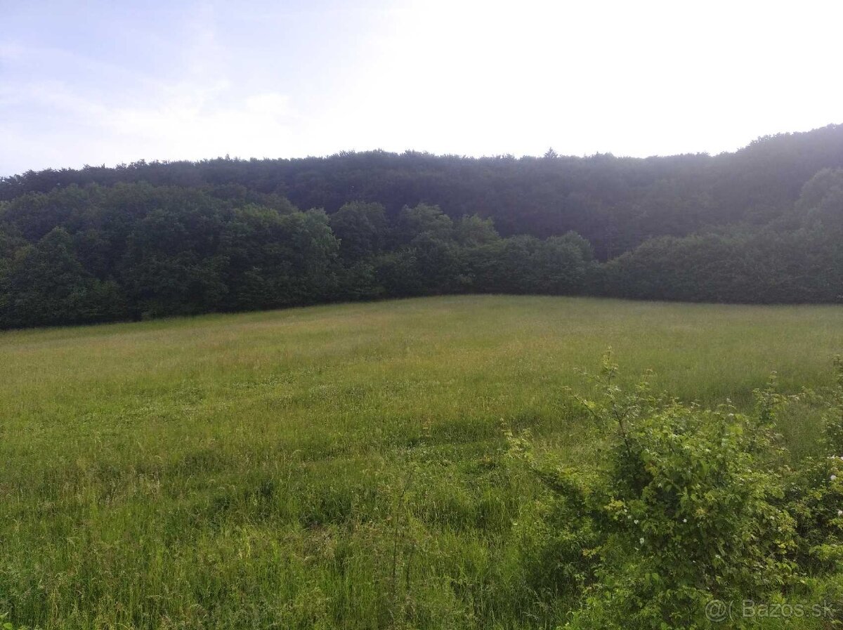 lesný pozemok urbár predaj