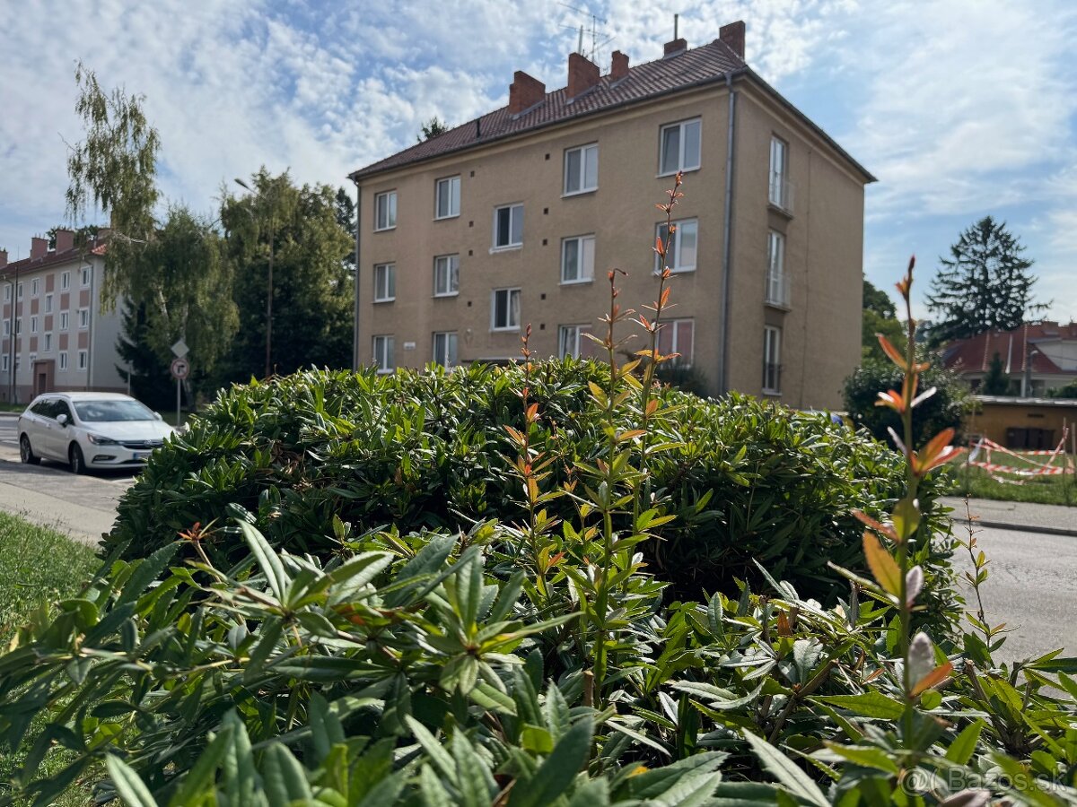 Jedinčená ponuka tehlového 3-izb. bytu v CENTRE