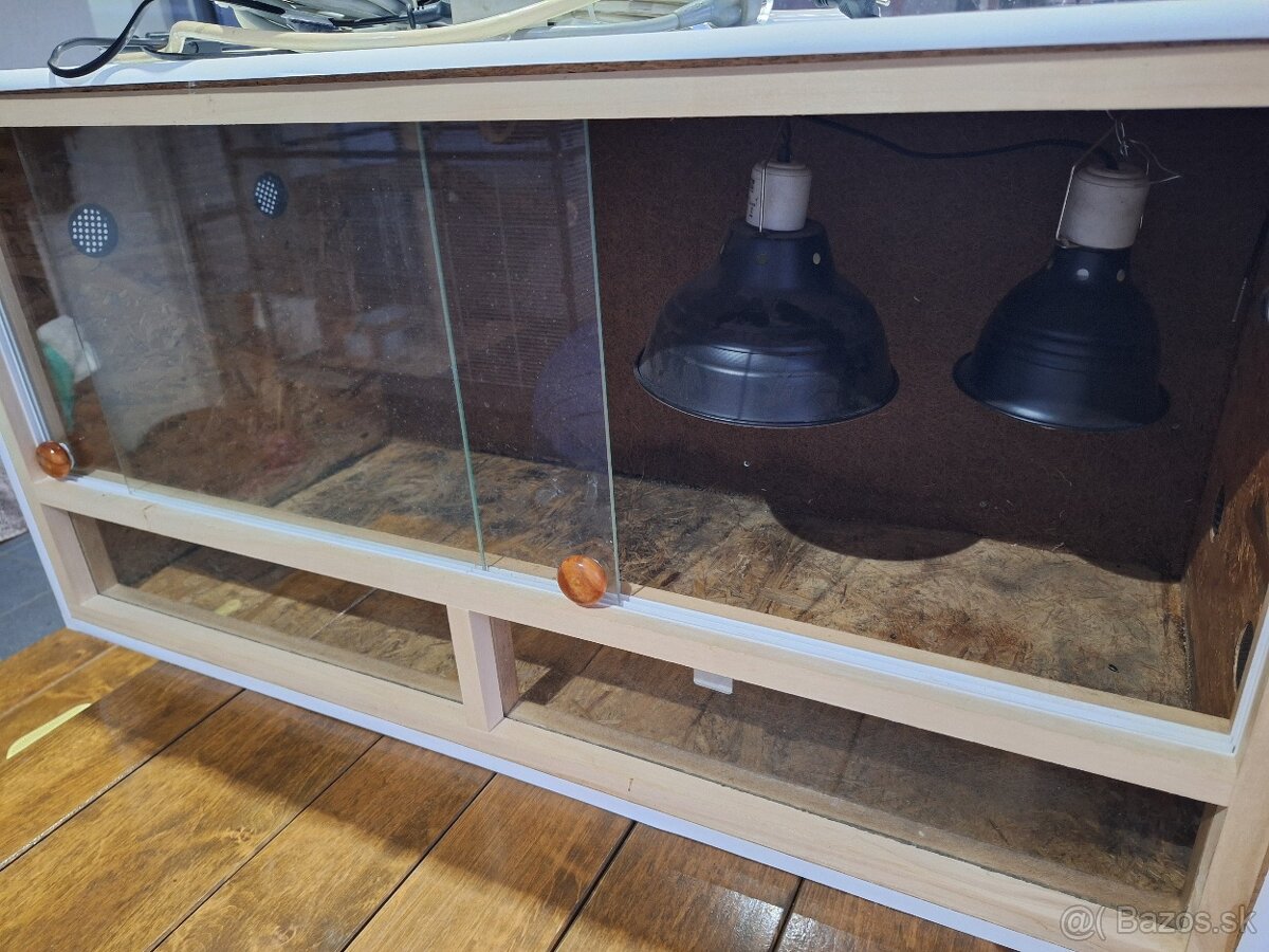 Terarium