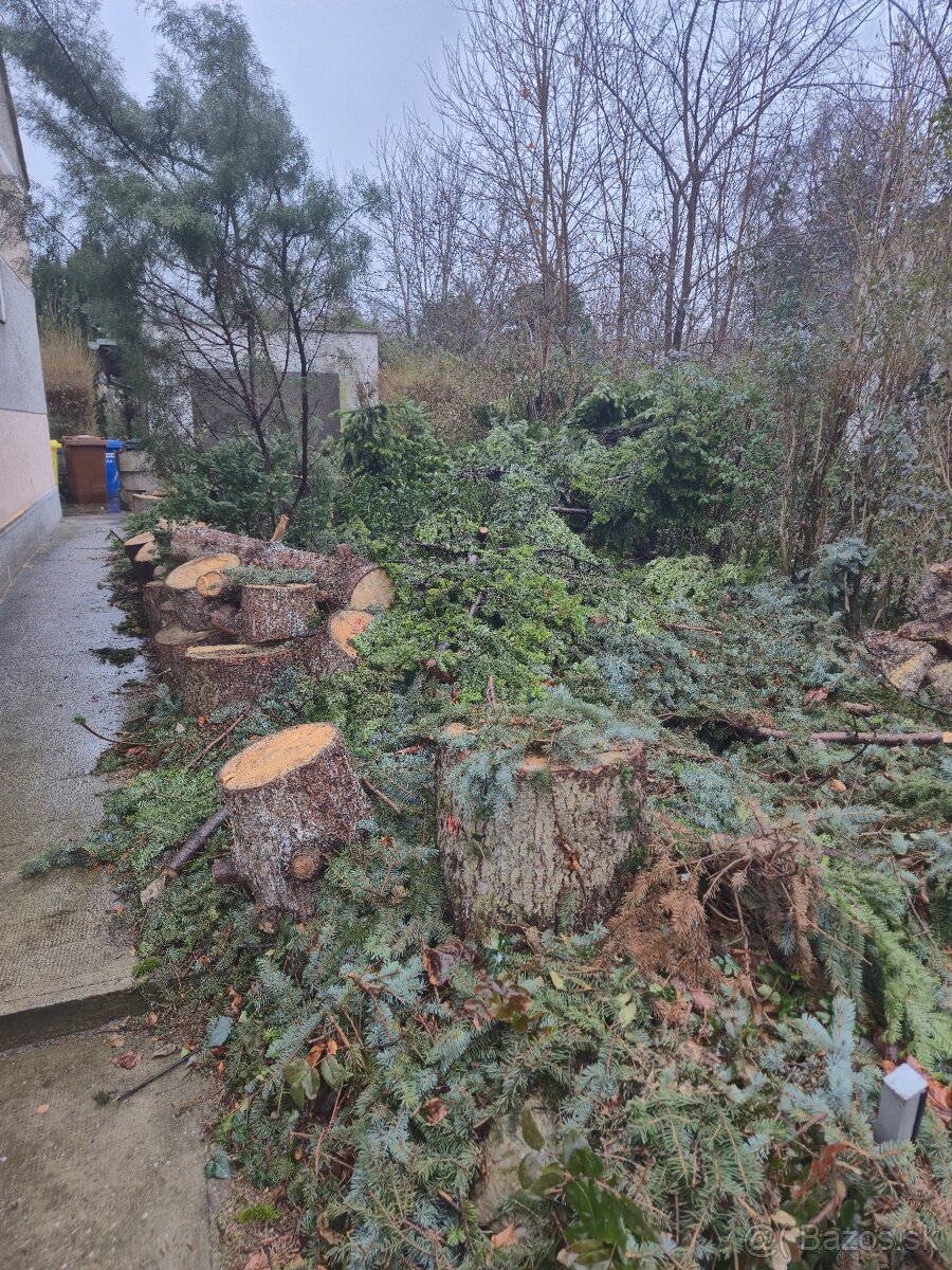 Darujem drevo a konáre